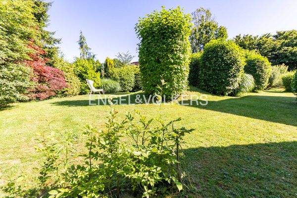 Blick in den facettenreichen Garten