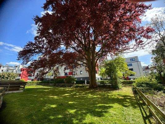 Gemeinschaftsfläche