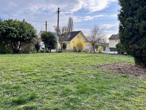 Weingarten (Pfalz) Grundstücke, Weingarten (Pfalz) Grundstück kaufen