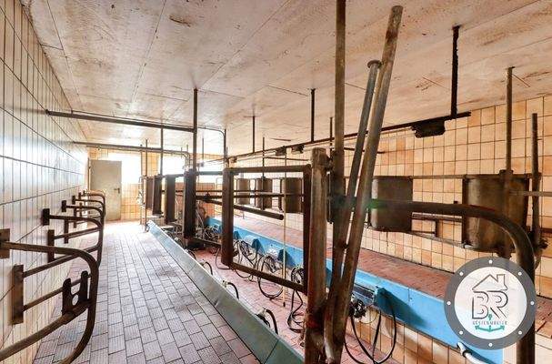 Melkstand (ohne Zubehör)