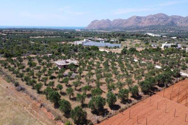 Kreta, Mouzouras: Flaches Grundstück mit Panoramablick zu verkaufen