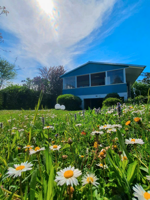 dc61f106-102c-4da9-88de-6ae47759af52