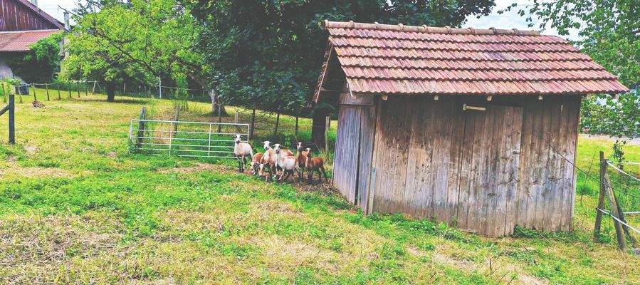 b7aaa288-fdd6-4ac9-a91e-33ad00ada539