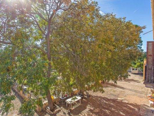 Traditionelle Finca zur Renovierung zum Verkauf in Marratxí, Mallorca 