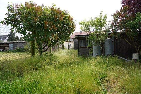 weitläufige Grünflächen