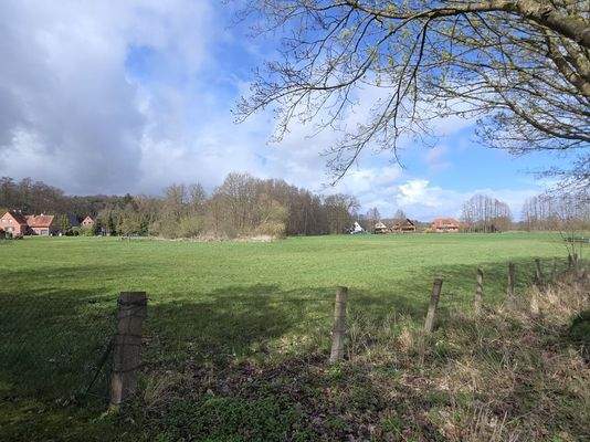 Felder und Wiesen vor der Haustür