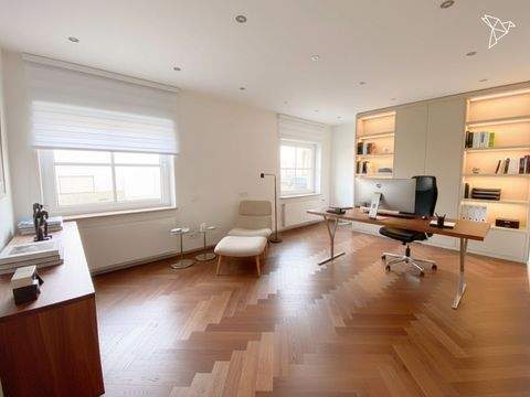 Elsdorf Halle, Elsdorf Hallenfläche