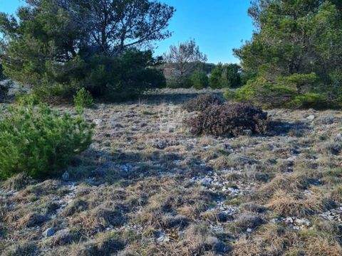 Vir Bauernhöfe, Landwirtschaft, Vir Forstwirtschaft