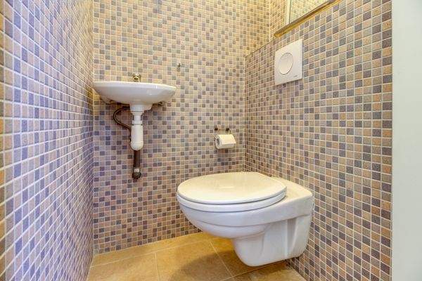 Heggerank 74 Nieuwvliet-12.jpg