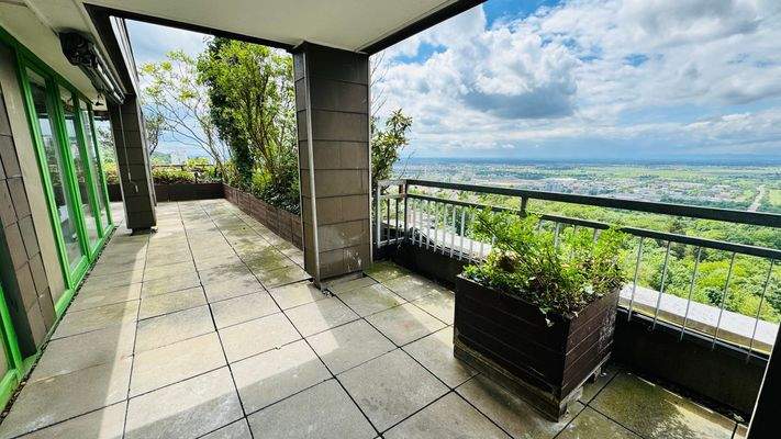 20240522_114358527_iOS