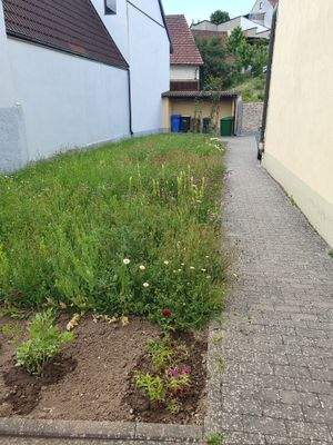 lassen Sie Ihre Fantasie spielen