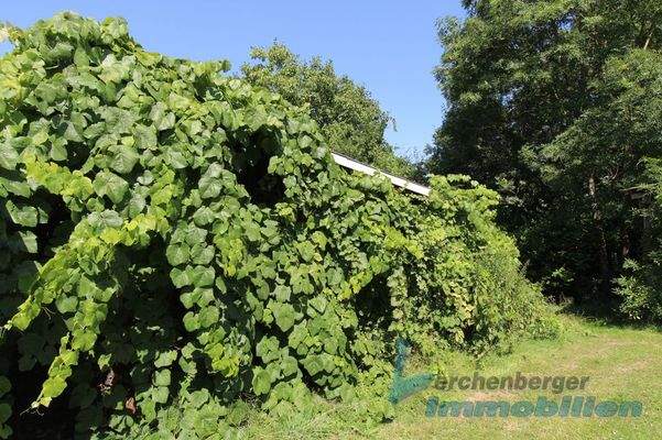 Ansicht Schuppen.jpg