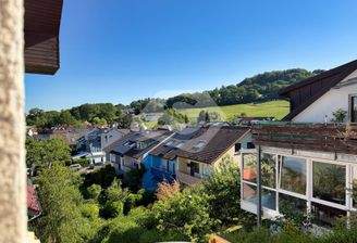 Blick auf die Reben von der Treppe