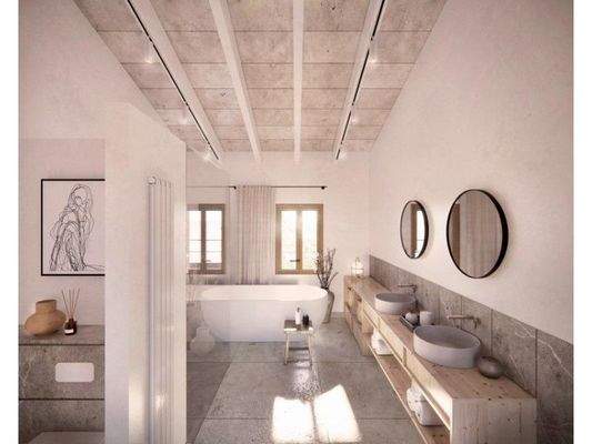 new-project-pool-Pina-for-sale-Living-Blue-Mallorca