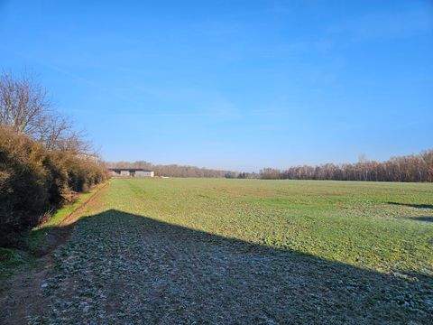 Velpke Häuser, Velpke Haus kaufen