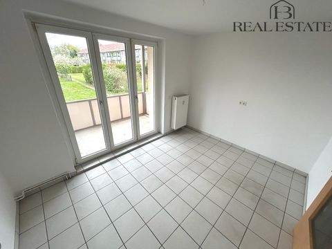 Magdeburg Wohnungen, Magdeburg Wohnung mieten