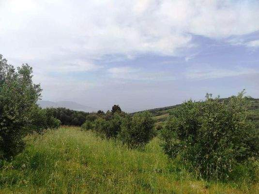 Kreta, Kastellos: Grundstück mit Meerblick zu verkaufen