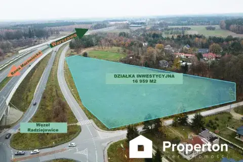 Radziejowice Bauernhöfe, Landwirtschaft, Radziejowice Forstwirtschaft