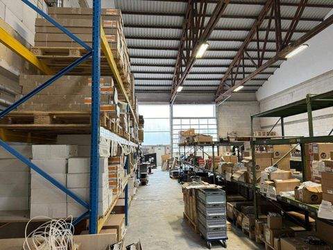 Bad Sassendorf Halle, Bad Sassendorf Hallenfläche