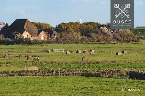 Schlichting Bauernhöfe, Landwirtschaft, Schlichting Forstwirtschaft