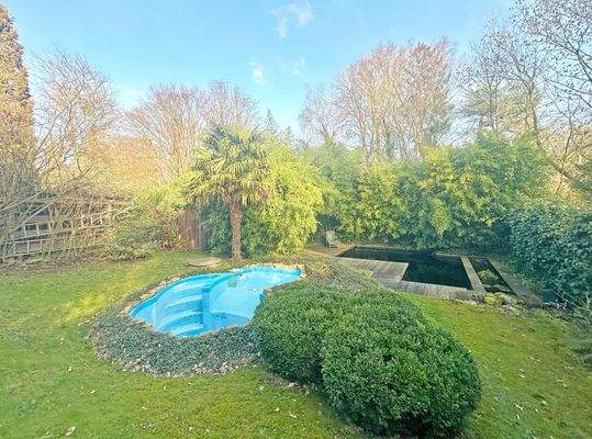 Pool und Teich mit Koi's im Winterschlaf