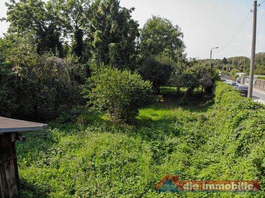 Bestehender Obstbaumbestand – sofortige grüne Wohlfühl-Oase