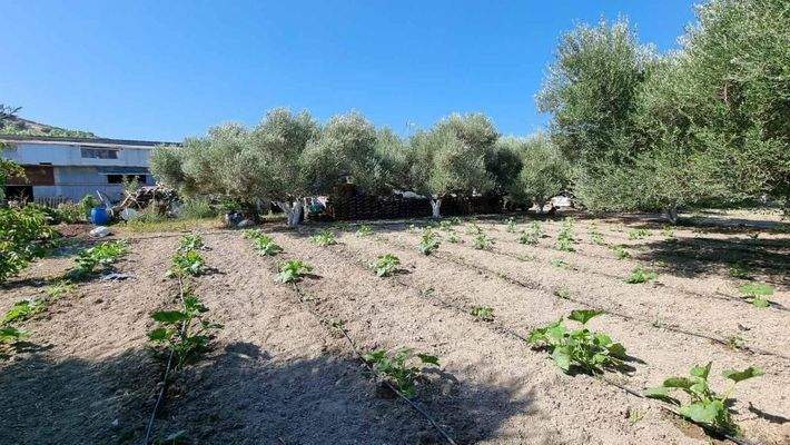 Kreta, Finika: Einfamilienhaus bei Heraklion zu verkaufen