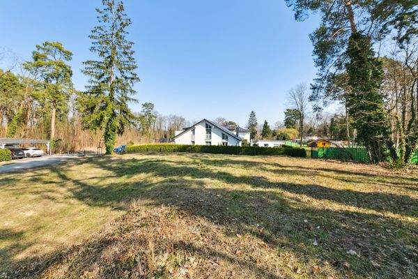 Blick nach Osten Richtung See