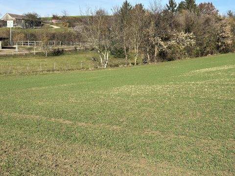 Ameisthal Grundstücke, Ameisthal Grundstück kaufen