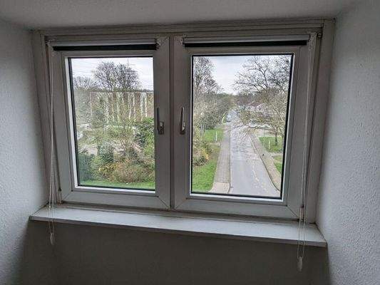 PXL_20240318_130035117