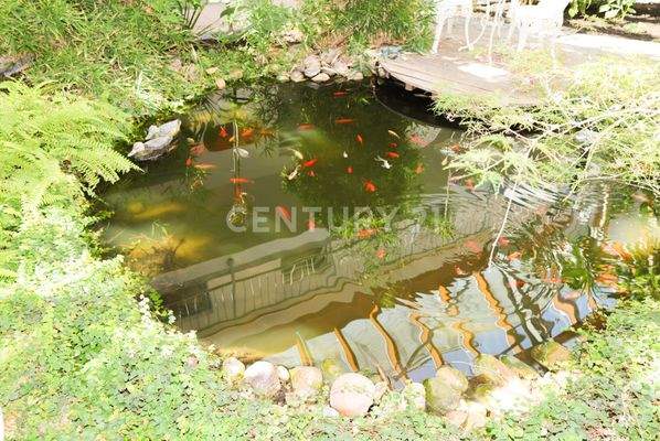Teich Eingangsbereich