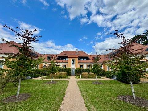 Pirna Wohnungen, Pirna Wohnung mieten