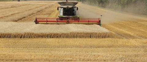 LVIV Bauernhöfe, Landwirtschaft, LVIV Forstwirtschaft