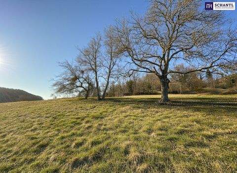 Prenning Grundstücke, Prenning Grundstück kaufen