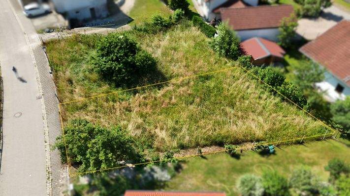 20250620_082928402_iOS - Kopie - Kopie (2).jpg