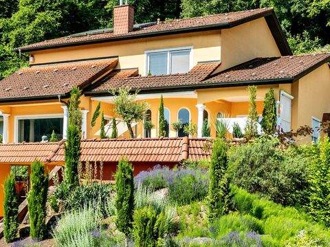 Hirschhorn (Neckar) Häuser, Hirschhorn (Neckar) Haus kaufen
