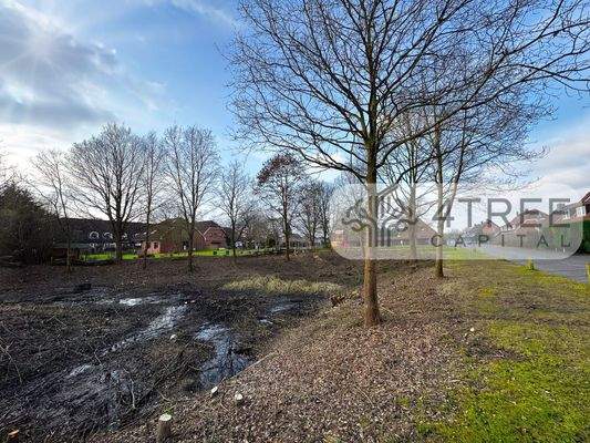 Renaturiertes Regenwasserrückhaltebecken