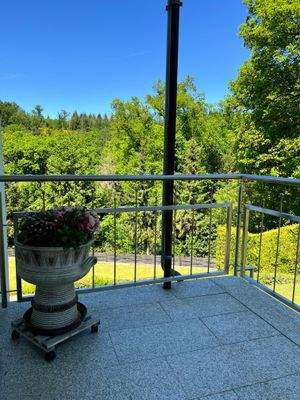 Blick vom Hauseingang