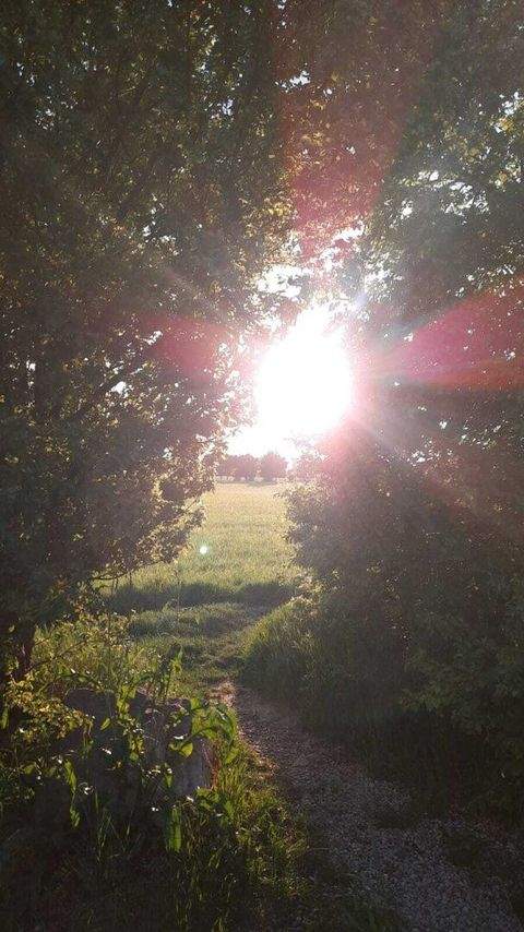 Vösendorf Wohnungen, Vösendorf Wohnung mieten