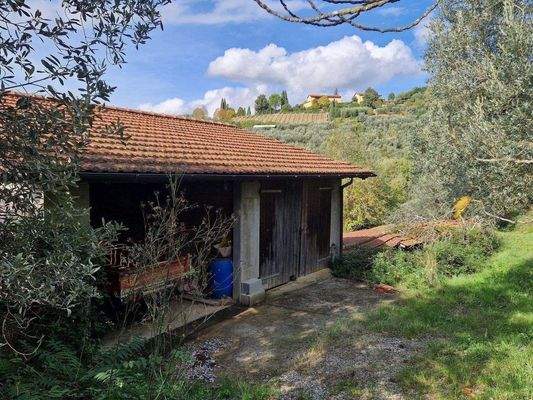 100LAzienda_ agricola_Toskana.jpg