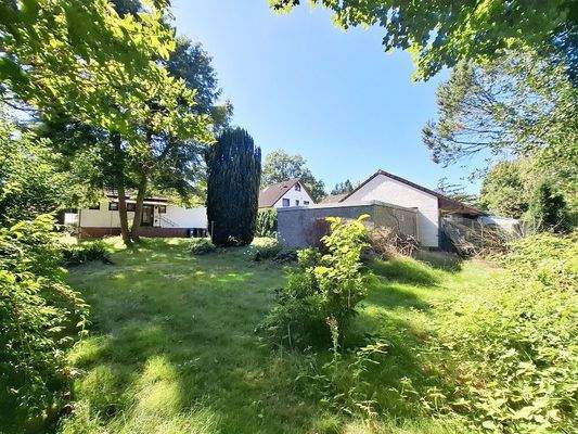 Blick auf das Baugrundstück Bild 3