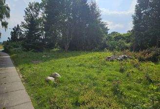 Blick aufs Grundstück