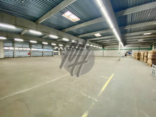 INFOS UNTER: 06171-586000