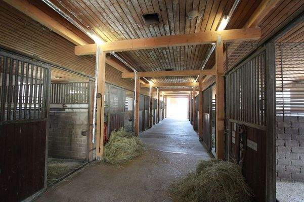 Pferdestall