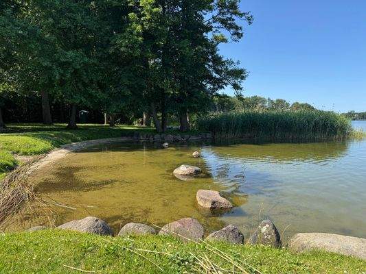 Badestelle Altfriesack (2)