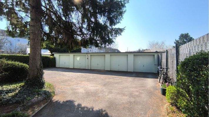 IMG_20260323_102525_1