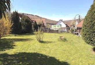 Blick in den Garten