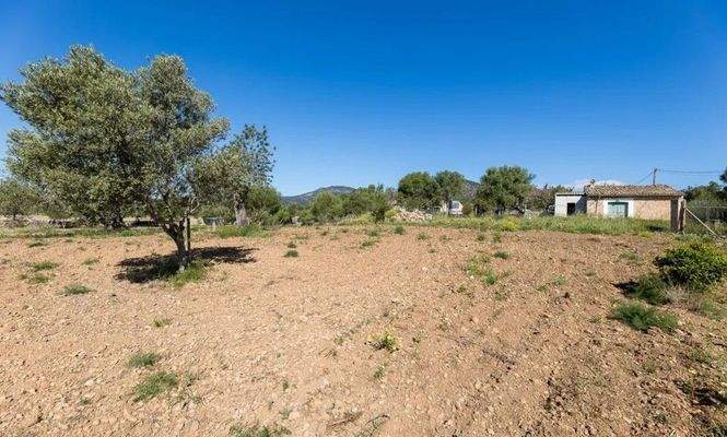 Finca zum Ausbau zwischen Santa Maria und Alaró zu verkaufen, Mallorca