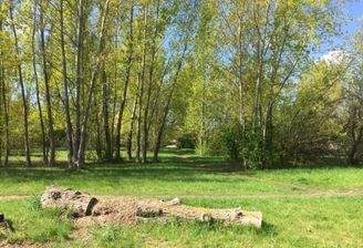 Unbebautes Grundstück 