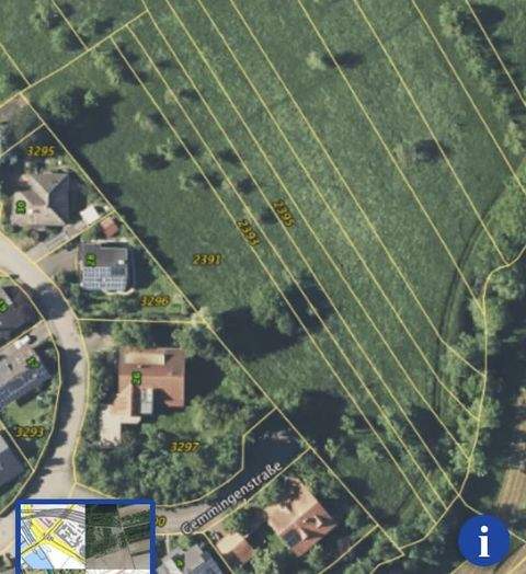 Obersulm / Eschenau Bauernhöfe, Landwirtschaft, Obersulm / Eschenau Forstwirtschaft